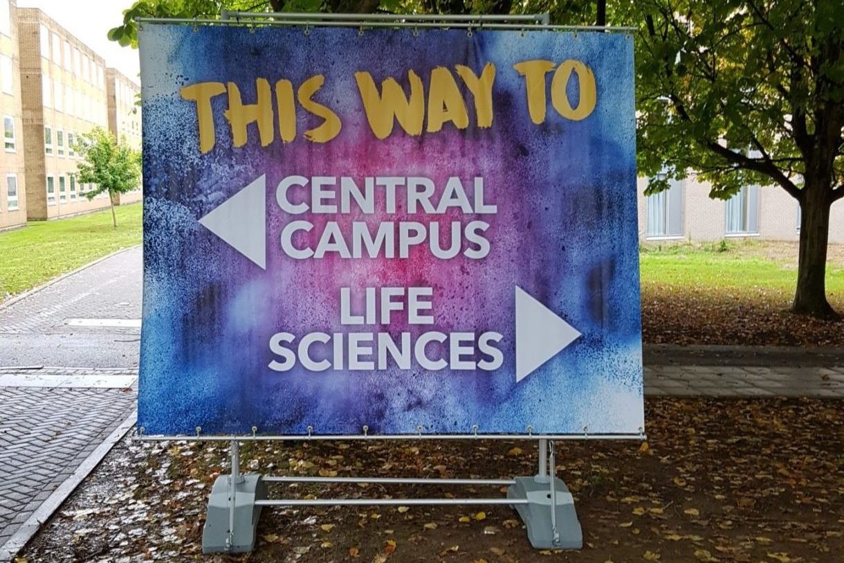 outdoor_event_banner