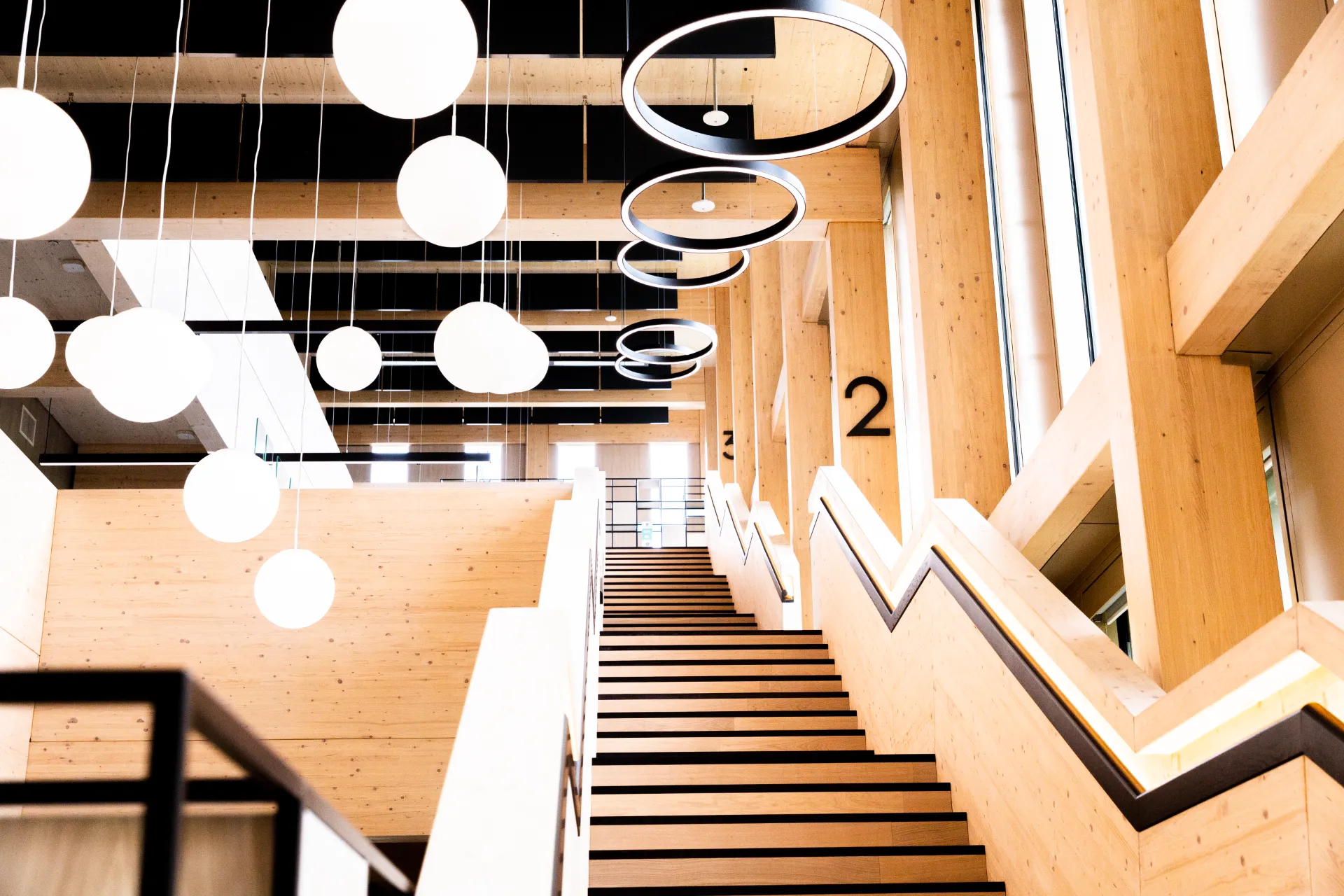 IBRB- University of Warwick-0050