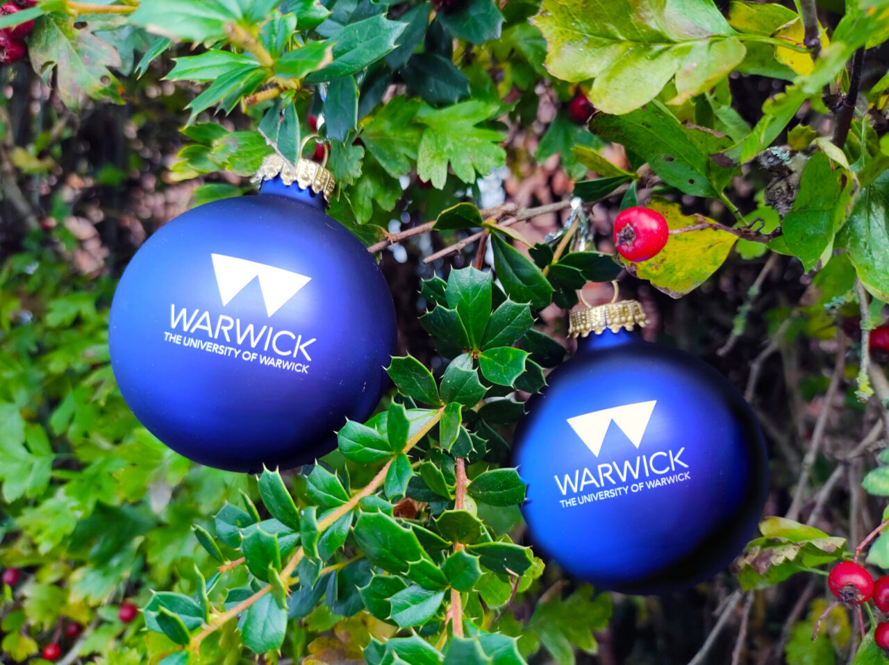 Graphic Arts Group Collaboration with the University of Warwick
